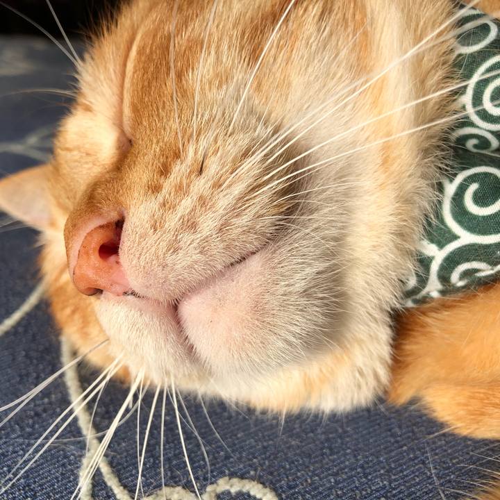 62f2c907 c746 4810 80d8 963070b999bf 1555139335605