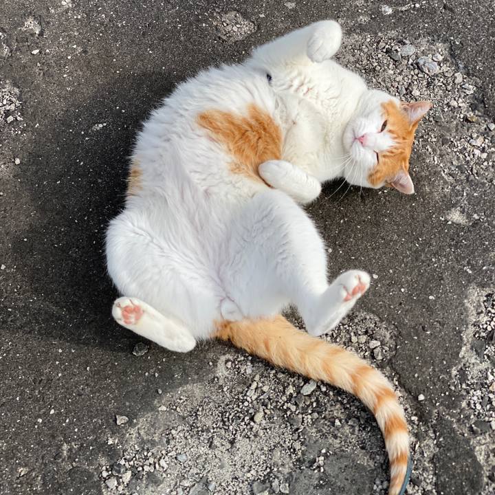 62f30711 50b8 4ec1 a023 341b718a4ebb 1572791536568