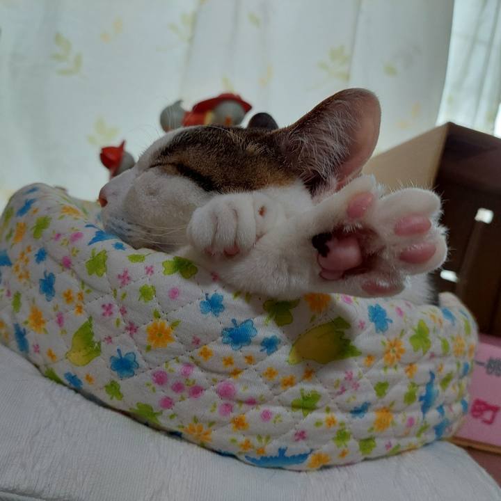 62f31159 2eca 4ba1 b3c1 edc7f6446651 1653605929251