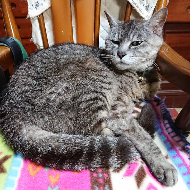 62f31c5e cdbc 4639 9fbe 4f7d8e282c9c 1565352621137