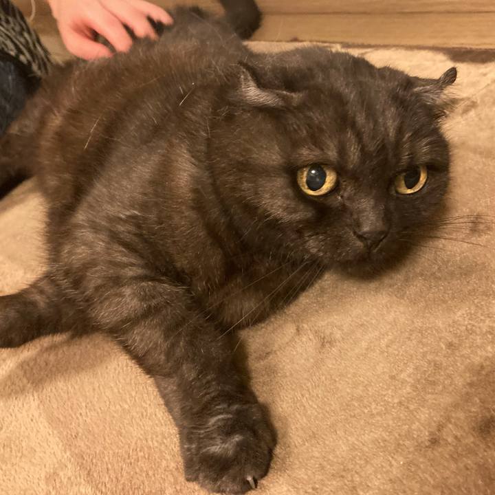 62f360d6 af39 41b2 9fa0 465ab6d94348 1590167313450