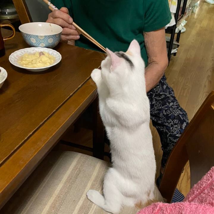 62f37bcb df03 49e8 815d 309e5c360a38 1596929386057