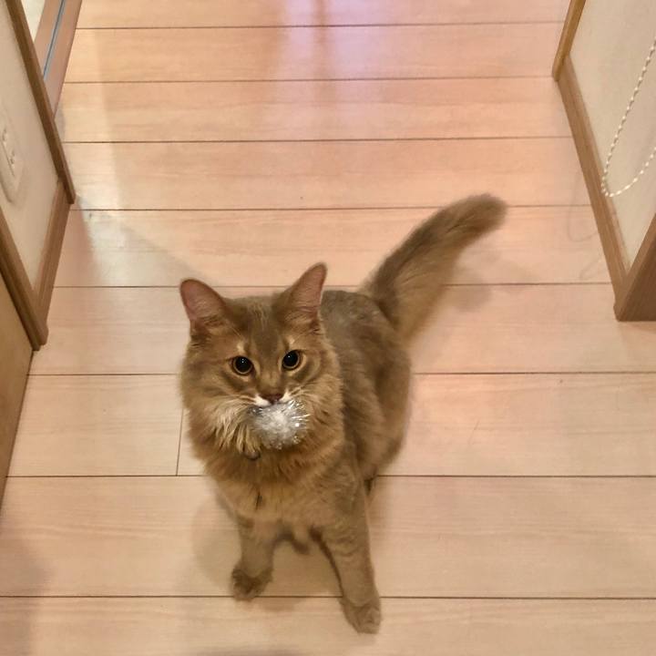 62f387dd 6b02 4a1d 8533 258d8e907a9e 1594080064494