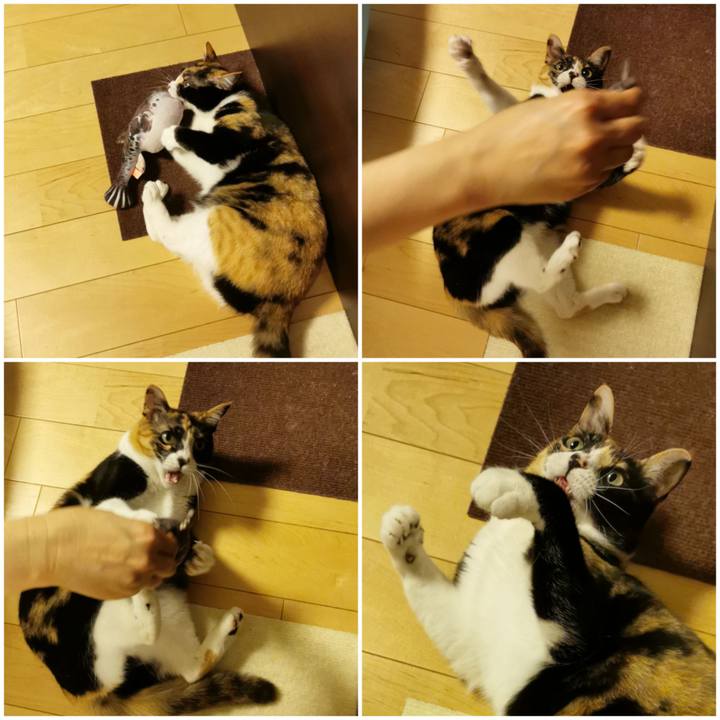 62f3c7cf 60b9 4845 aef3 d8204988251b 1652155881721