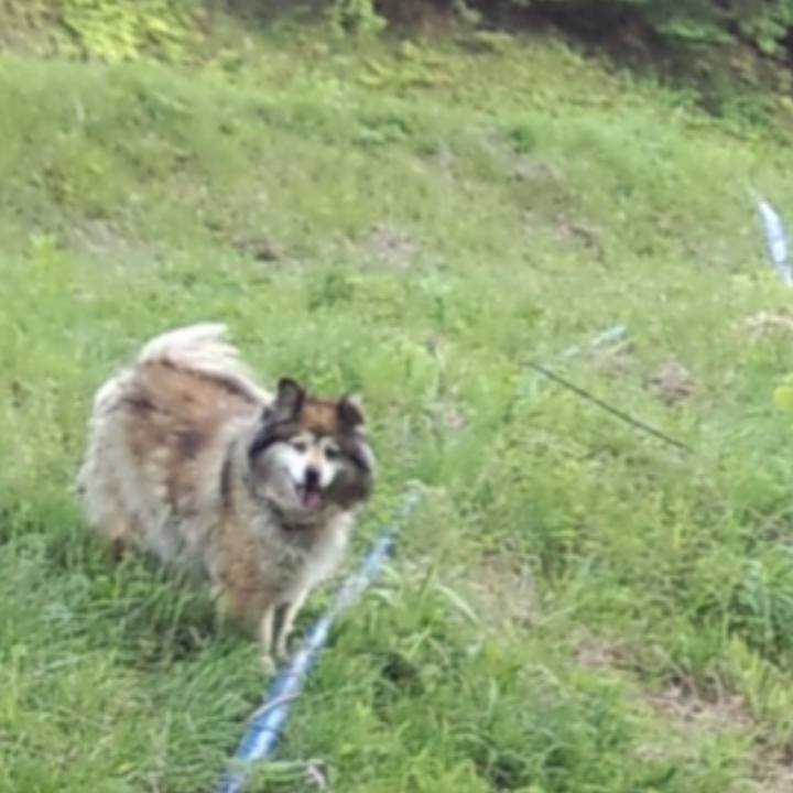 62f3e42d 2385 421d bf4b 7db4d3714a3a 1574752347491