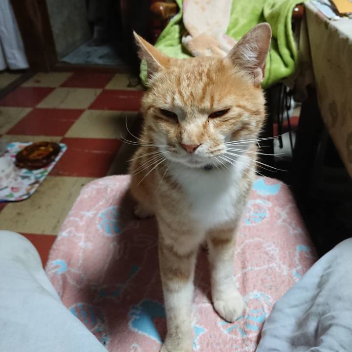 62f41c00 9d85 49e9 a553 0b189e7da109 1590867098703