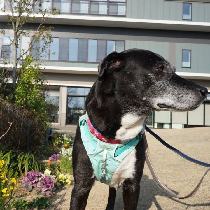 62f44fe9 15fc 453a aadc 2db8dffca7ac 1774140292169