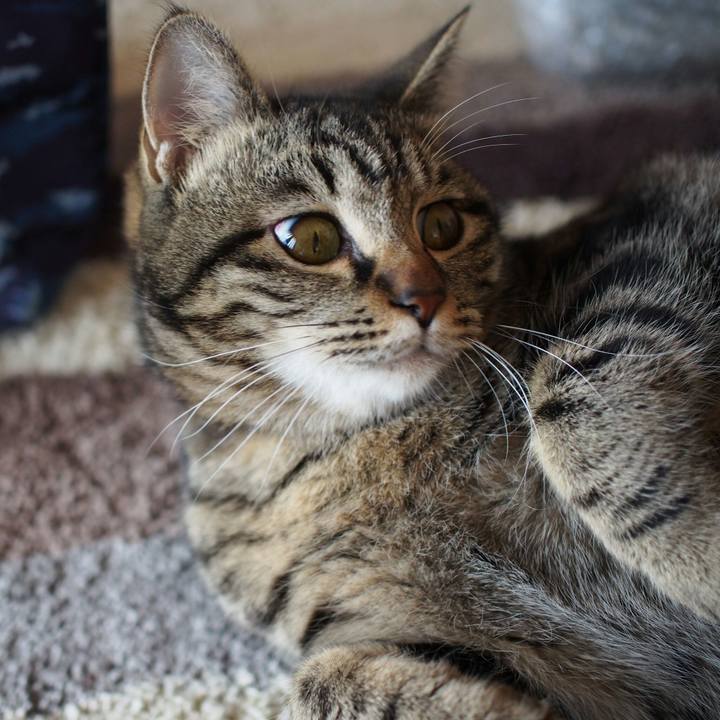 62f4817c b871 4f5d 8dba 6003d3cbbe0a 1516801054878