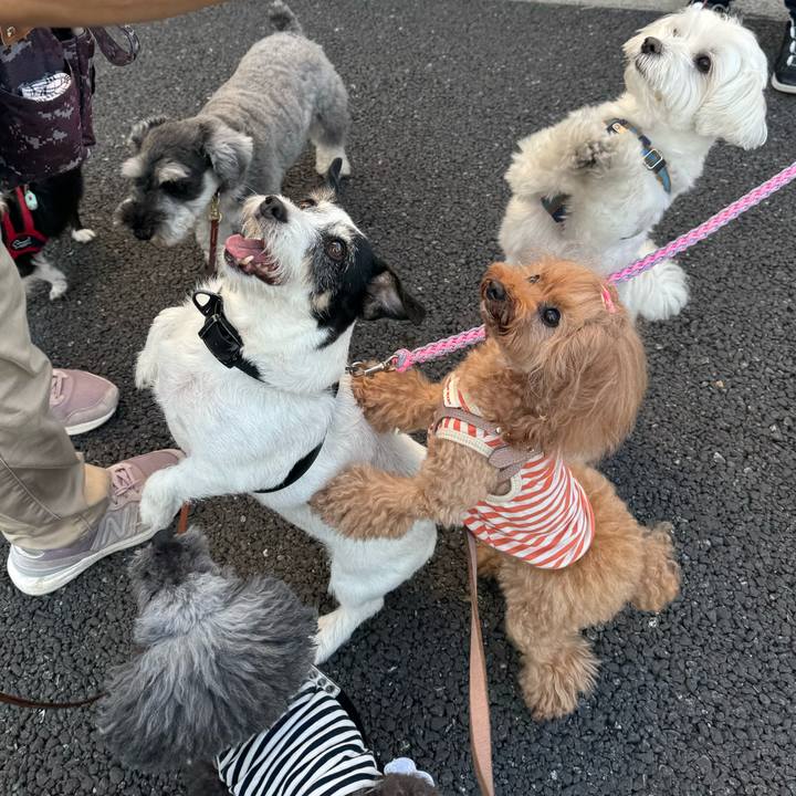 62f4a922 9f7f 480b a78d 2cbe891af3df 1758755564463