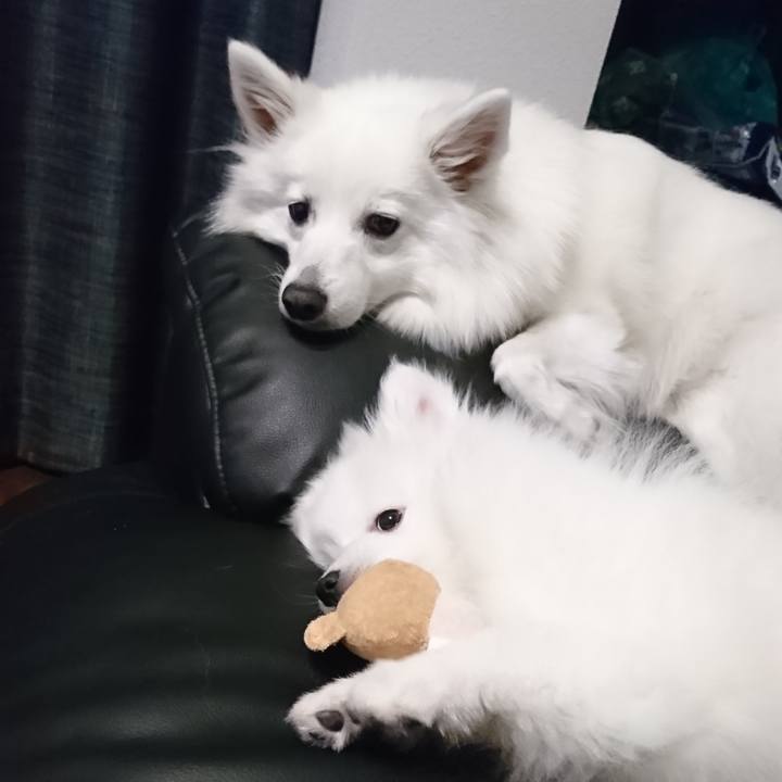 62f4b550 eda8 4b68 b836 449ca7bd1dd1 1546953877422