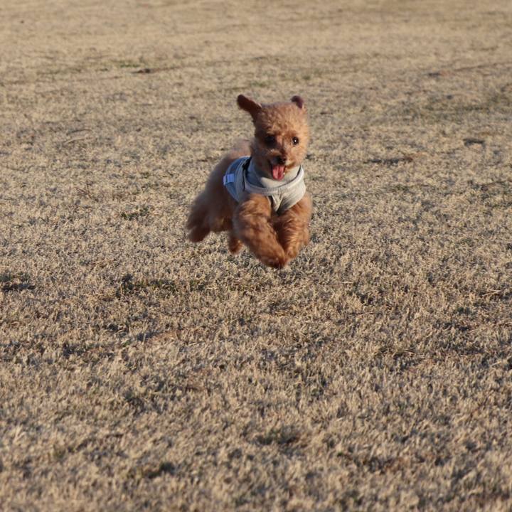 62f4b563 d14a 48c0 8c83 e1d56dd25528 1615800992209