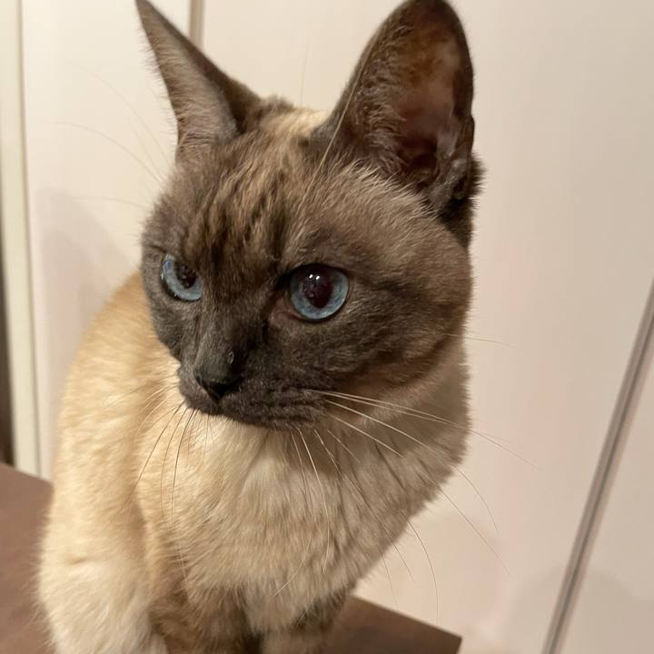 62f4b684 4666 4472 b8f9 8eda11f592ab 1773573655032