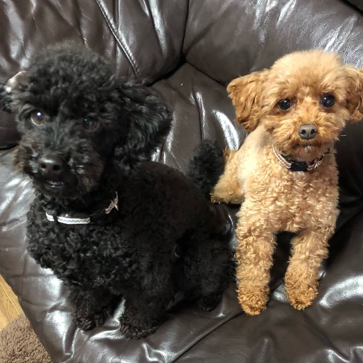 62f51632 82c2 4b2d 9317 93928a24b3b4 1548887784104