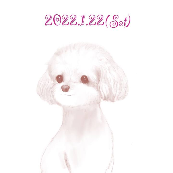 62f54502 937e 412b b7bb 88d543dddb21 1642857832643