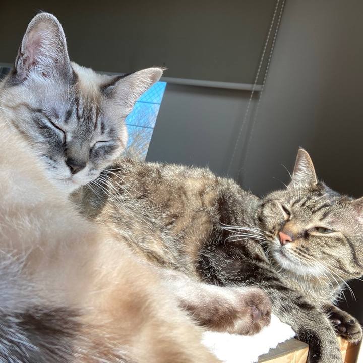 62f5603b 48b6 4cfc 967d 698e8ebeccf9 1644984994699