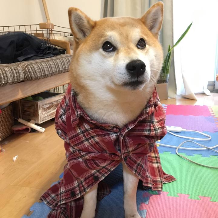 62f58282 504b 4c96 8324 93d7bd56233e 1545118324087