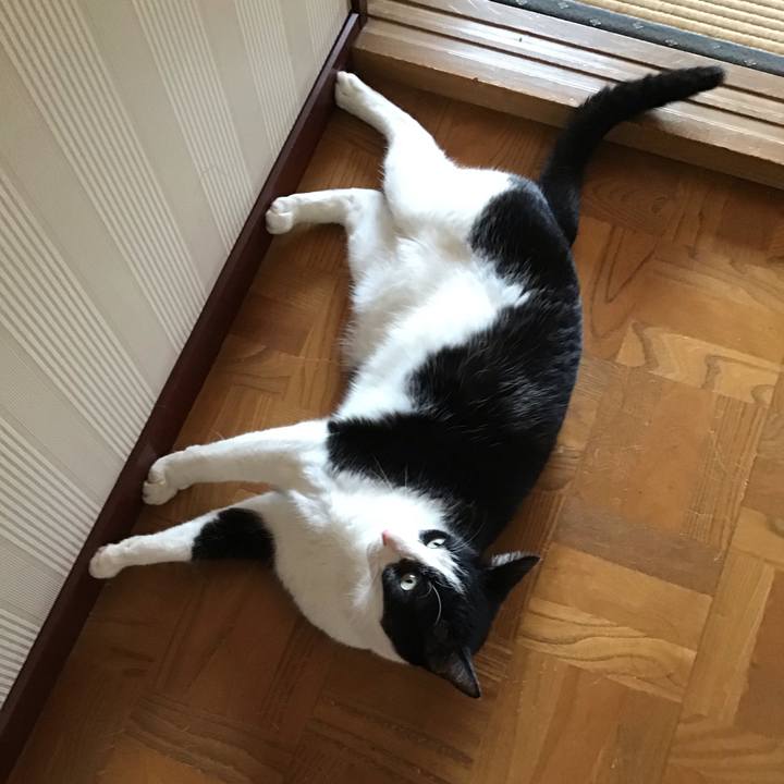 62f5aa9f f3d2 4ab0 84f4 37fcf57910da 1722143426143