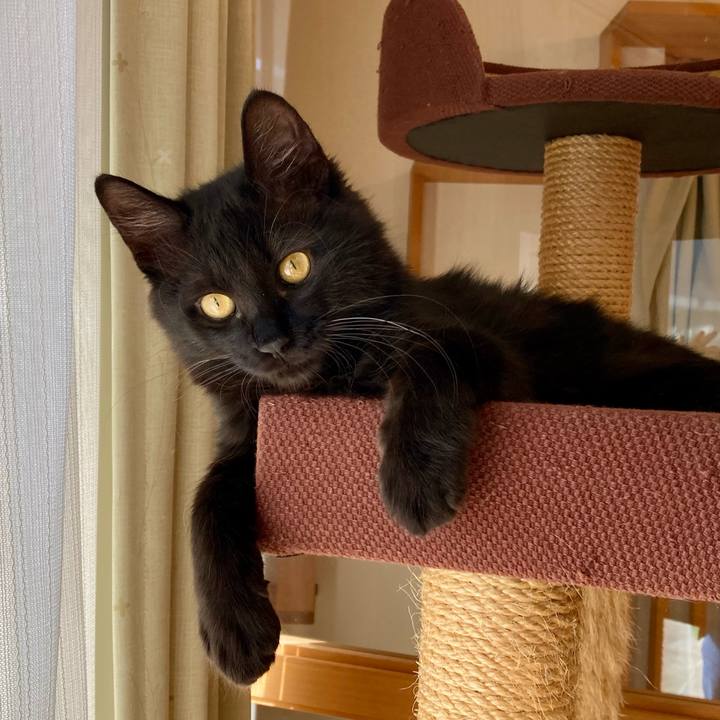 62f5ac8e c13a 4952 bc6f 9297aee873c1 1705057870323