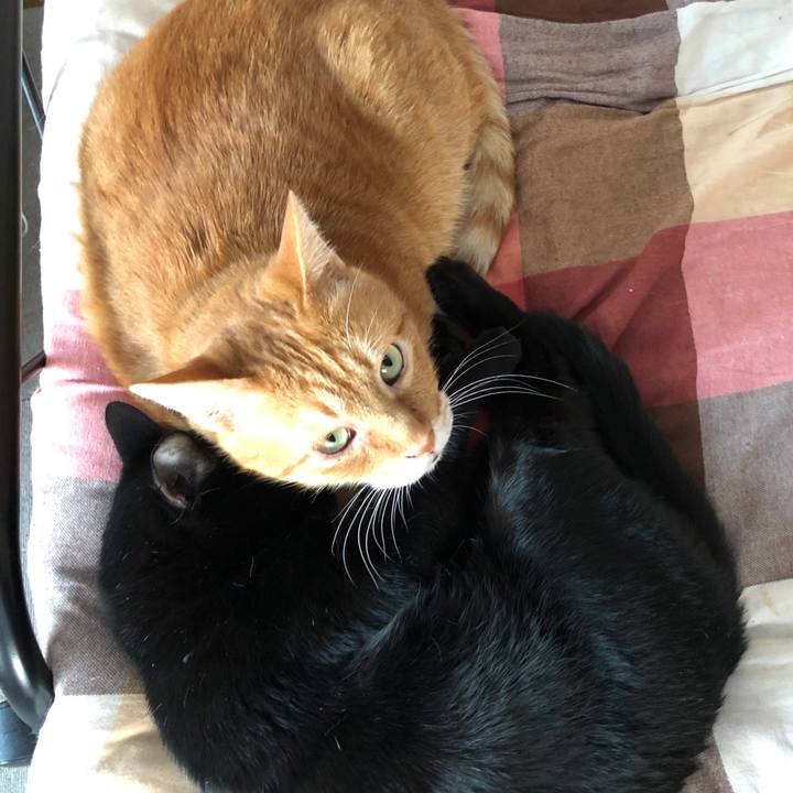 62f5b561 b672 4058 b890 5e20106a0434 1670757235008