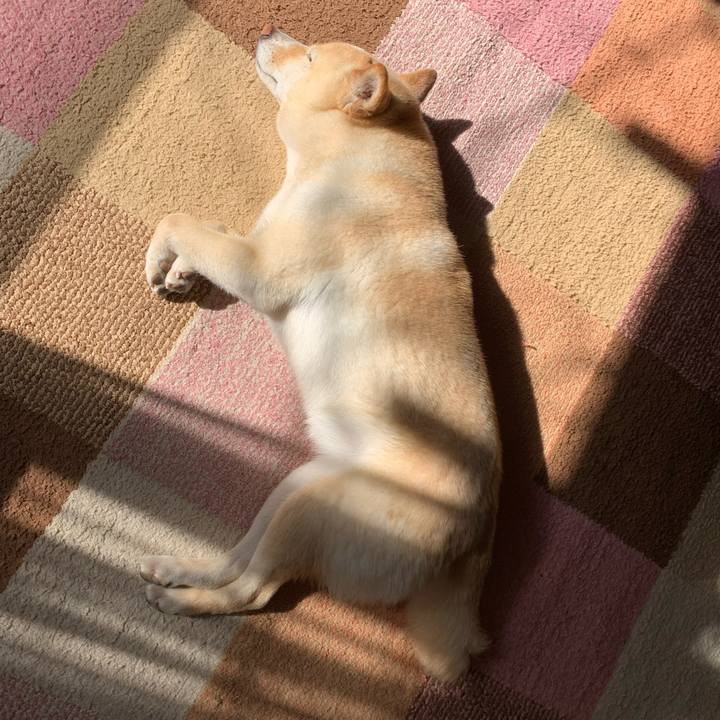 62f5b7b0 e8c8 48af aaa8 f9a948618db5 1646182399296