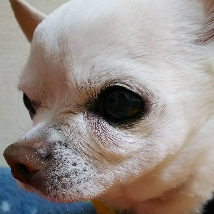 62f5bdcc eb7d 4b5a b672 9c255a95c204 1518410697886