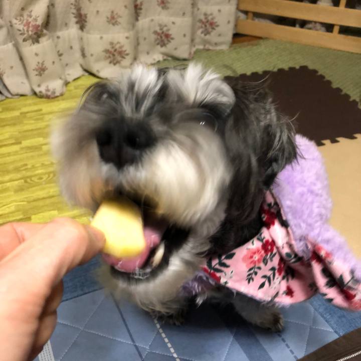 62f5c1c4 2c7f 4ee0 a3df a8708eed62f1 1704979853223