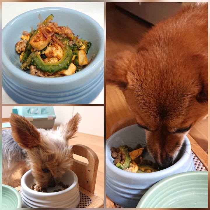 62f5d733 8af2 441b b483 039d09a0e7d2 1598788293601