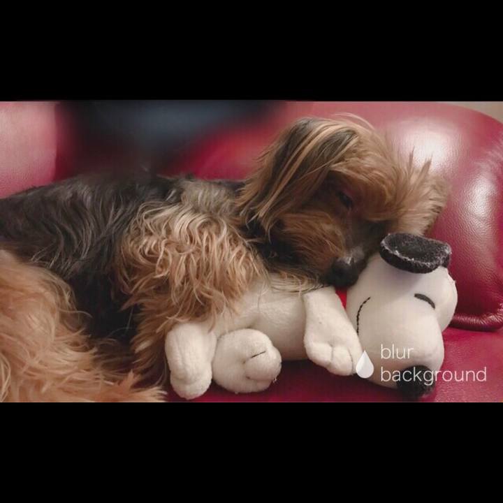 62f5e4f5 31f9 44ec 8120 b22689562157 1528703708863