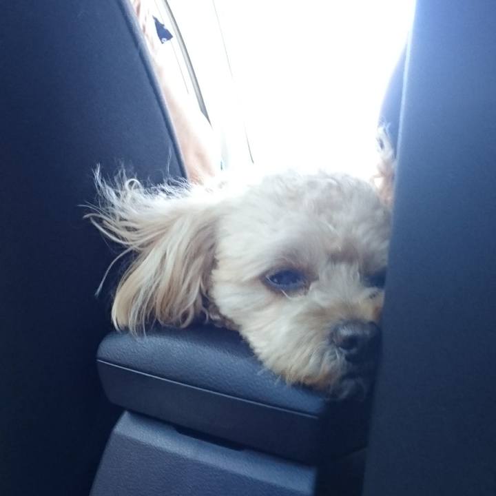 62f5f522 f205 459e bbeb ccc3d400e8fa 1565238612620