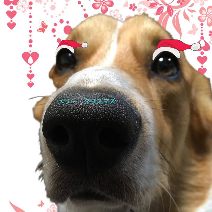 62f61dee 5add 440d 98e9 11e10eddf752 1608787619207