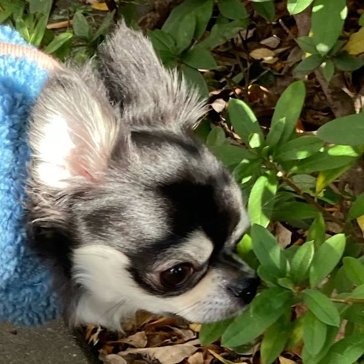 62f65882 0508 41bd add5 4f7cf2a71428 1672760709289