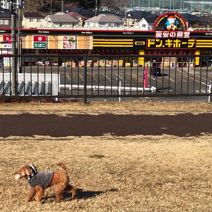 62f670fe 1fbd 4c5f 8340 44f540f89eb4 1581058686088