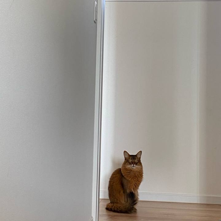 62f6a6a6 487e 4230 a0c9 51a6beef3548 1703234573292