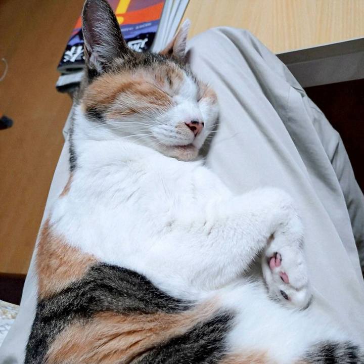 62f6c724 5bcb 4fe2 a86f 6b54e3e5faa8 1725367789037