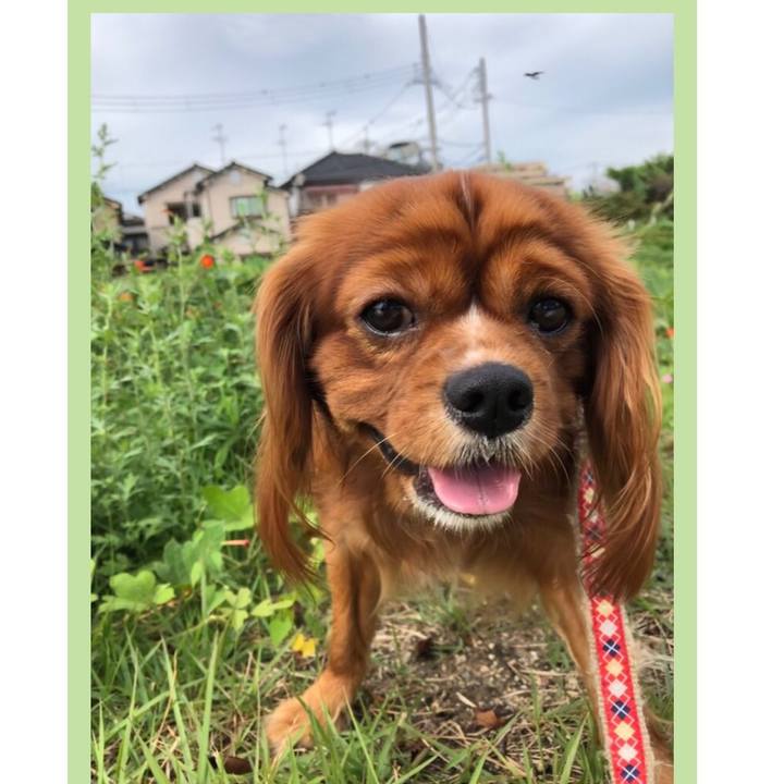 62f70eff 330a 4a0c bc76 f663e680c0bf 1569669248883