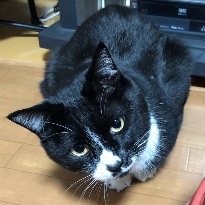 62f70f25 3116 446c 889c c41411c6c8cb 1645674174671