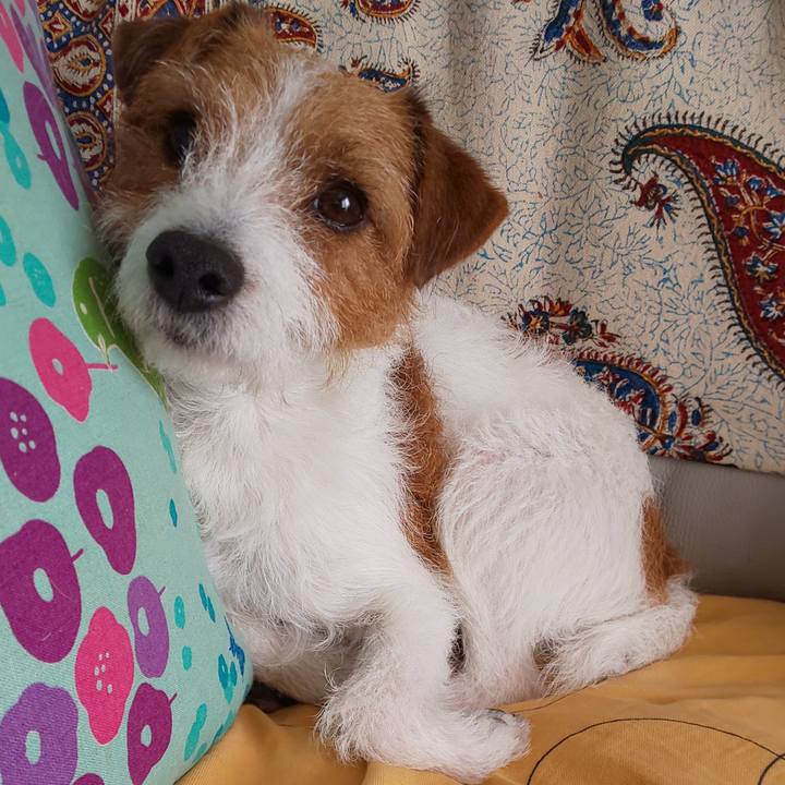 62f73172 0797 422f 892f 3726d3581a7b 1579062471392