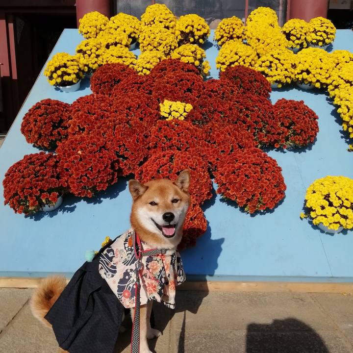 62f74968 4a59 4e17 829d 548fdaf097d2 1606043253754