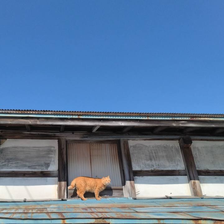 62f74a99 74ee 4c6d b46b e7b895cda906 1703733810332