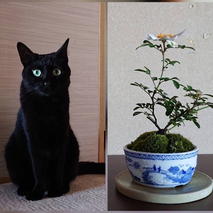 62f75dba 066d 437e 8ce8 d892b52bec56 1628289283996