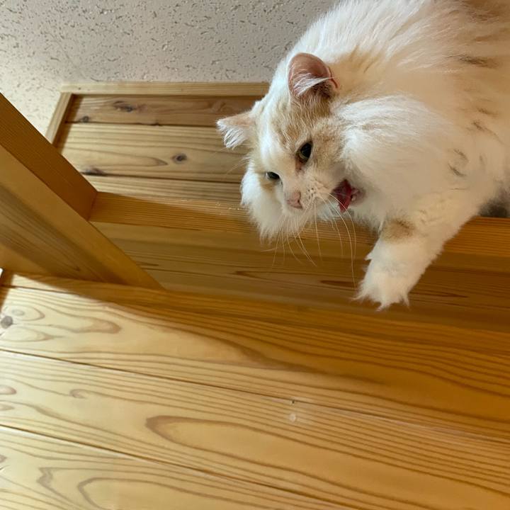 62f79164 0be7 4732 a342 6a5655e79466 1655670653577