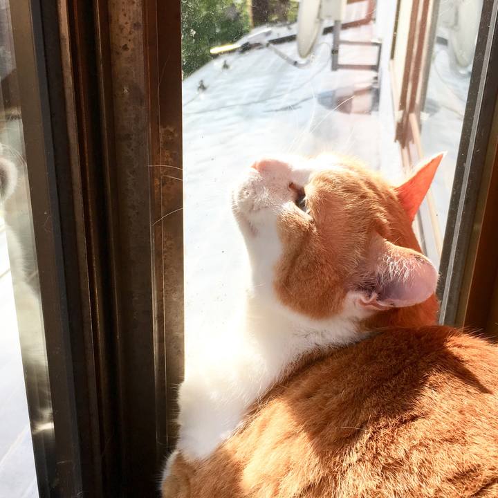 62f7acd8 e4f7 420d 8983 8b2eb7a7530c 1560827874730