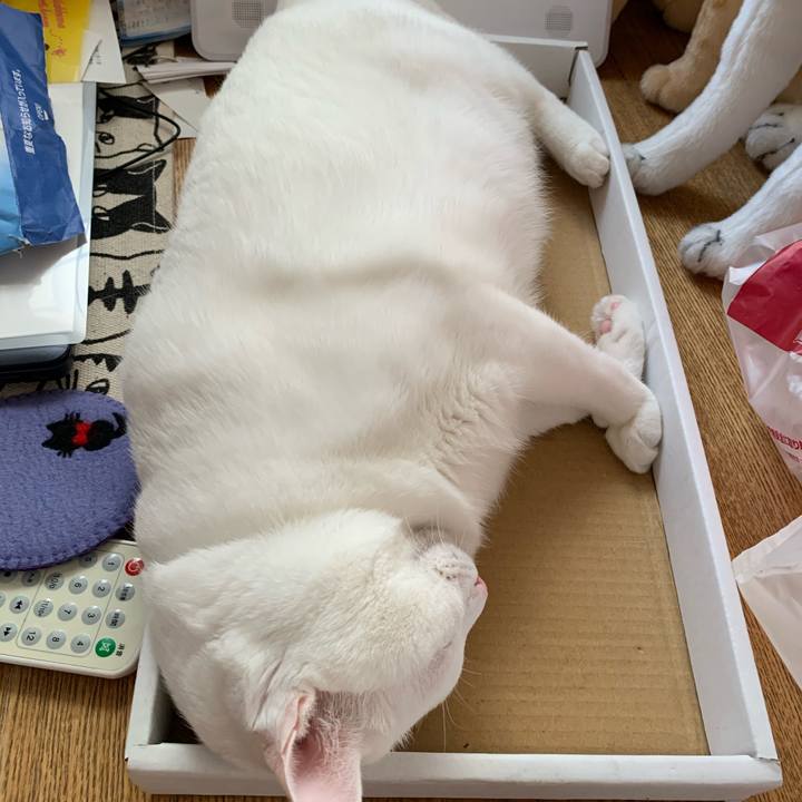 62f7d95c b3e9 4939 81d4 6b09a37ca3e9 1596956928420