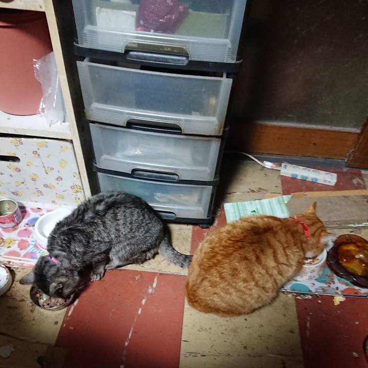 62f8258c fde4 4b80 8c02 0250e999bada 1579118114014