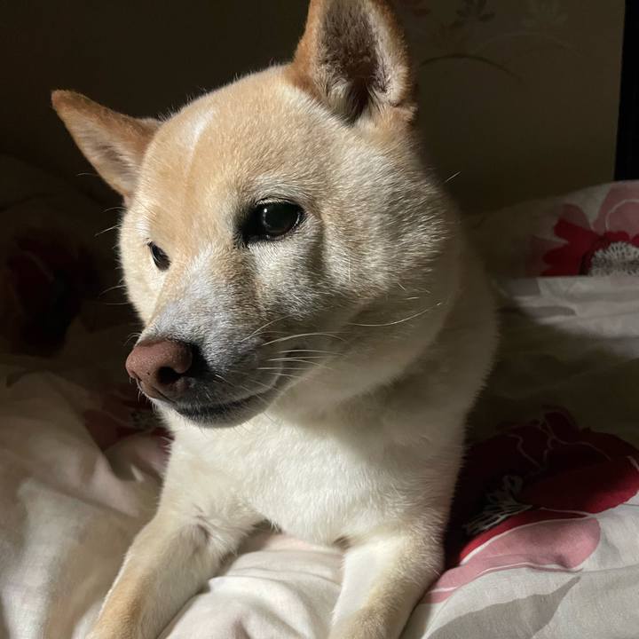 62f842a9 86c4 4461 af04 c93323c0d689 1715606414050