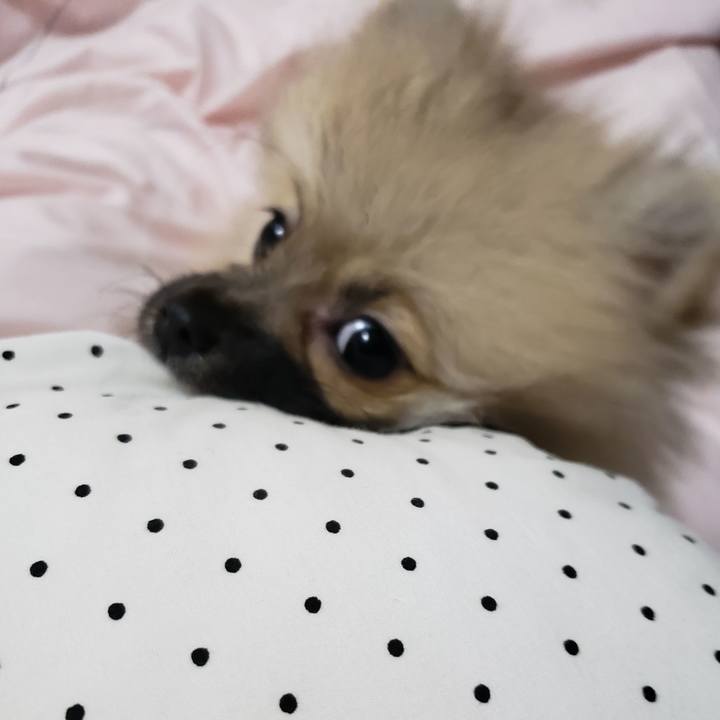 62f89837 14fa 48e5 b97f 294f68caa63b 1612303504926