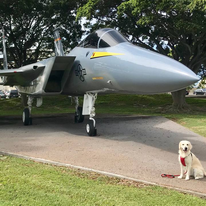 62f8ae2c 0344 4608 82f2 6829e136e255 1550185532880