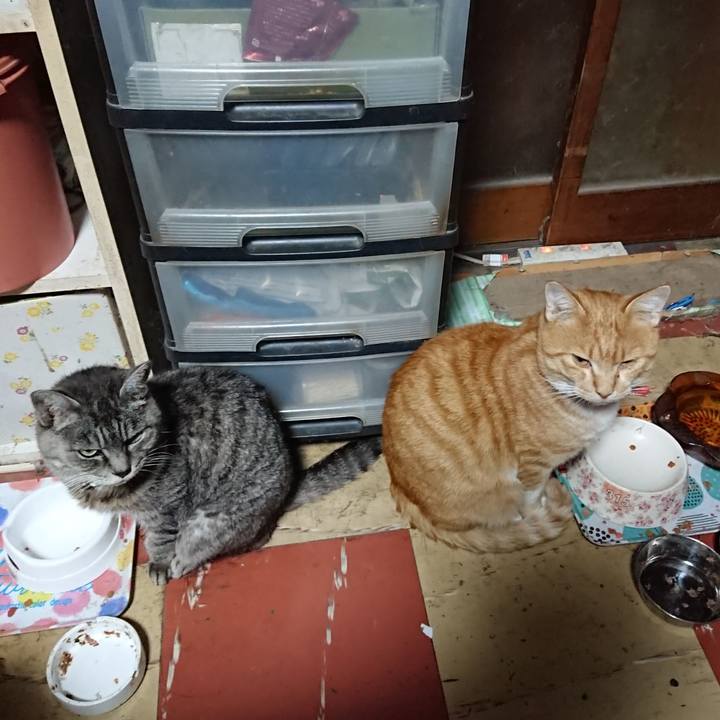 62f8bf2d 9404 43de 8b5f 3c6e0dd7b7a0 1573156840050