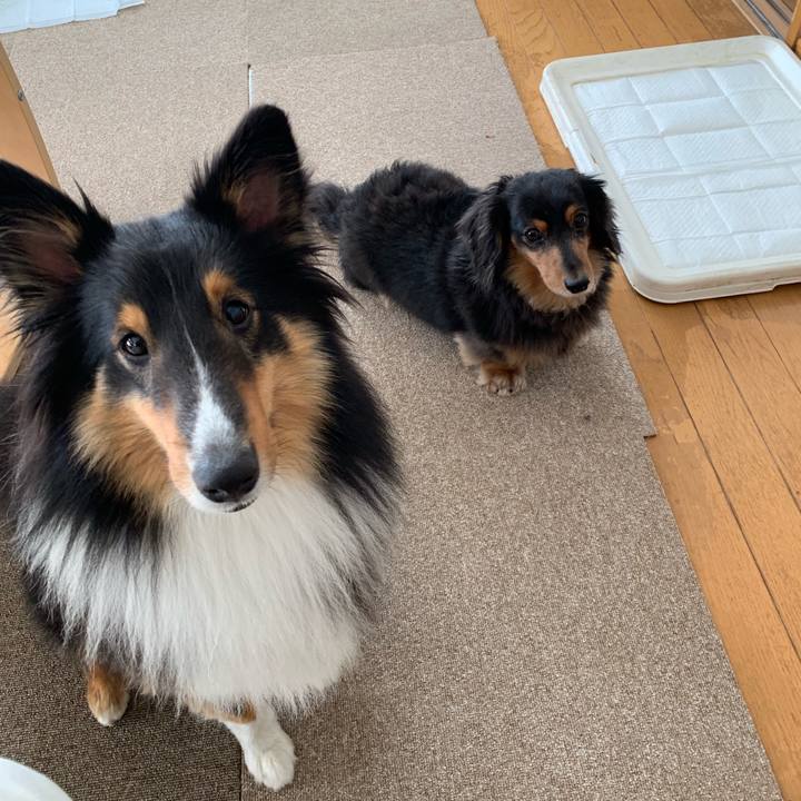 62f8deb8 d8b5 4509 b2ca 1f8ef5228a0b 1560980748444