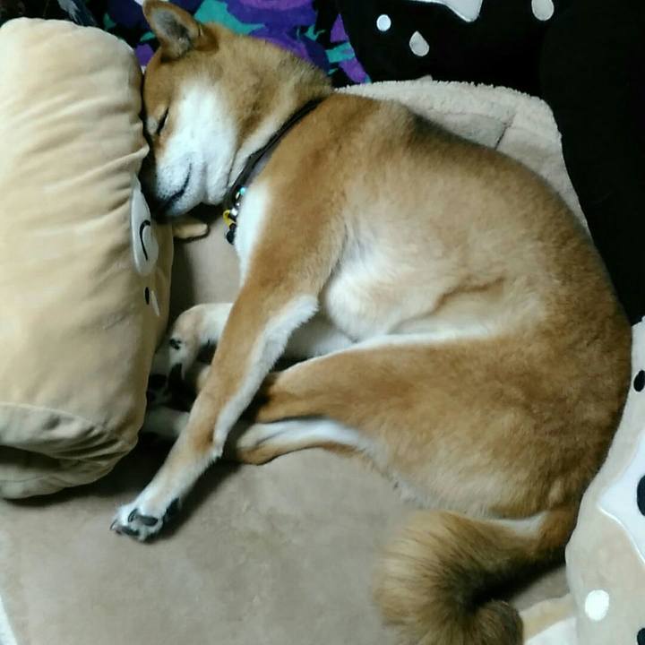 62f8f3b3 5045 4e31 8046 a0983e6fed4d 1557671533685